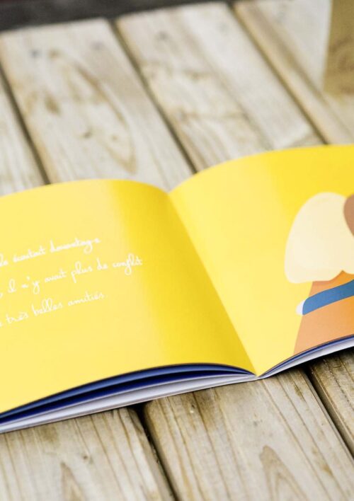 Livre - Au sommet Conte adultes enfants, Au sommet une histoire pour toute la famille. Collection DENADDA