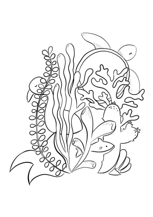 Coloriage - EYA Coloriage tortue de mer, fond marin, EYA. Collection DENADDA.