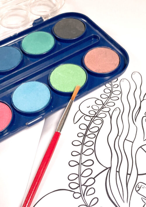 Coloriage - EYA Coloriage, palette de peinture pour enfant, EYA. Collection DENADDA.