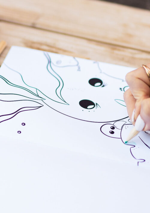 Livre de coloriage - EYA Livre de coloriage pour enfant et adulte avec la petite tortue EYA. Collection DENADDA.