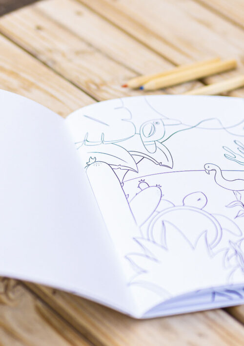 Livre de coloriage - EYA Magnifique livre de coloriage pour enfant sur l'océan avec EYA et ses crayons de couleur. Collection DENADDA.