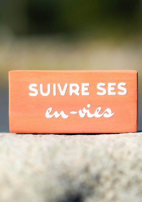 Pancarte bois - Mémo - Suivre ses en-vies Pancarte bois déco intérieure, couleur orange avec texte suivre ses en-vies. Fabrication artisanale de DENADDA