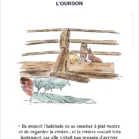 Affiche Winnie l'ourson et ses amis allongés sur le pont de la rivière. Une illustration de Denadda inspirée par A.A. Milne & E.H. Shepard.