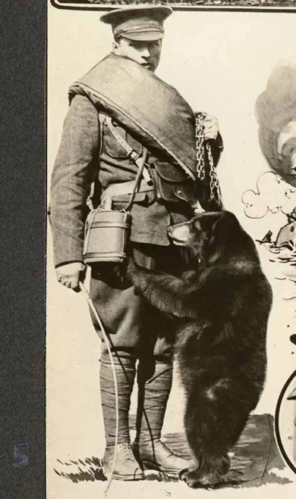Photo prise en 1915 du lieutenant Harry Colebourn, vétérinaire Canadien et de son ourse Winniepeg. L'origine du nom Winnie l'ourson.